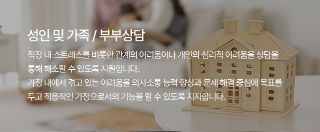 성인 및 가족/부부상담