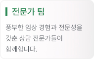 전문가 팀